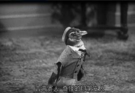 起立歡呼 圖2