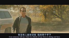 背水一戰(zhàn)斯瓦辛格國語 圖9