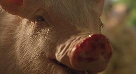 小猪宝贝电影免费观看完整版中文 图8