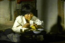 僵尸小子：尖峰任務(wù) 圖2