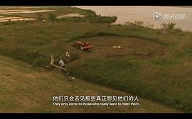 鳗鱼 图9