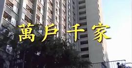 万户千家 图5