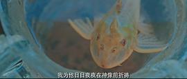 海大鱼电影免费观看完整版视频 图10