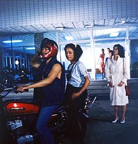 十五的月亮 圖1