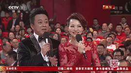 2014年中央电视台春节联欢晚会 图4