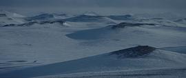 大北极电影高清在线观看 图2