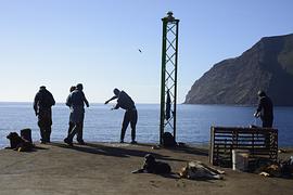 離島居民 圖9