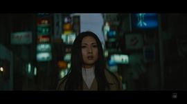 銀蝶的意思 圖5