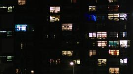 鬣狗警察 圖3