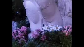 查泰萊夫人之風(fēng)華絕代 圖3