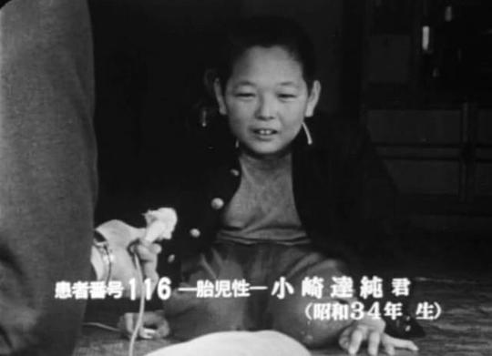 日本水俁病事件的影響