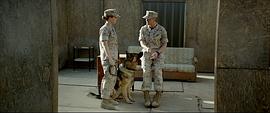 美国战争题材的军犬电影大全 图8