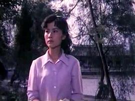 四川方言劇何處不風(fēng)流演員表 圖3