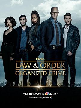 法律与秩序：组织犯罪 第三季 图1