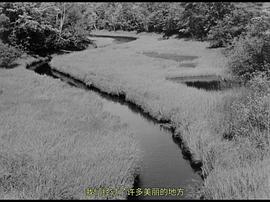 旅行日志 圖3