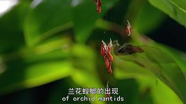 生命故事 图3