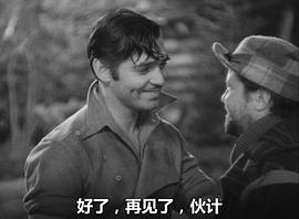 野性的呼唤 图4