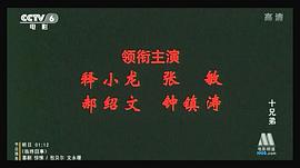 十兄弟1995中文版 图7