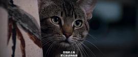 猫眼看人之怪物 图1