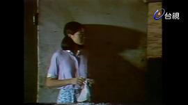 十一個(gè)女人 圖2