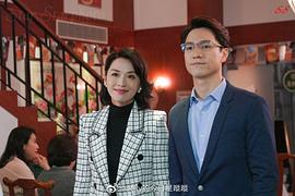 回归国语版TVB电视剧在线观看 图9