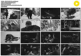 打獵 圖2