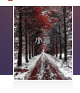 櫻桃網(wǎng) 圖1