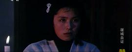 屠城血證 圖7