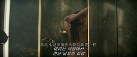 紅雀 圖9