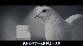 无姓之人剧情解析 图8