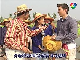 情定菜市場(chǎng) 圖1