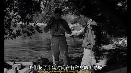 恐怖蜘蛛島 圖6