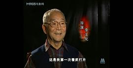 閃電怪俠武俠電影 圖1