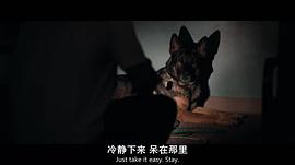 生死救婴在线观看完整版 图4