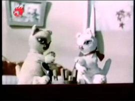為了孩子們 圖6