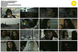 情書 圖3