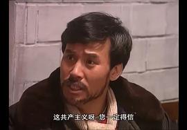 年輪 圖4