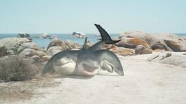 夺命六头鲨电影 图5