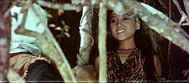女飛俠 圖5