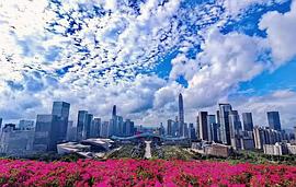 尋味一把掛面 圖6