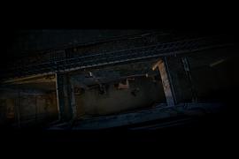軍犬 圖4