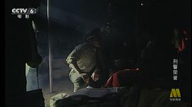 刑警榮譽(yù) 圖5