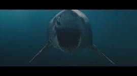 2023最新鲨鱼电影 图4