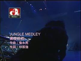 梅艷芳演唱會一億 圖5