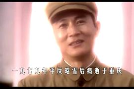 和平战士电视剧免费播放在线观看 图3