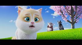 猫的花园动画片 图1