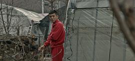 狼來了 圖6