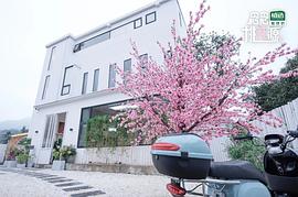 念念桃花源 圖2