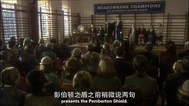 鴿群中的貓 圖6