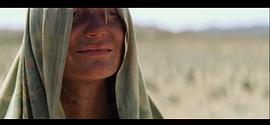 沙漠大战鸵鸟电影免费观看 图5